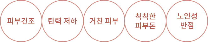 피부건조 탄력저하 거친피부 칙칙한피부톤 노인성반점