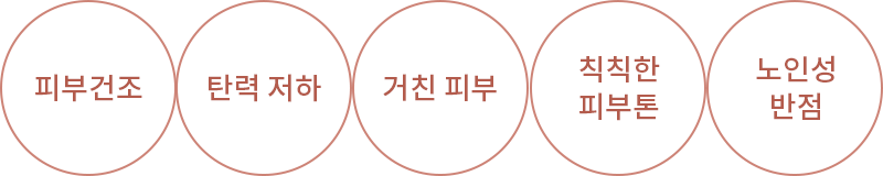 피부건조 탄력저하 거친피부 칙칙한피부톤 노인성반점